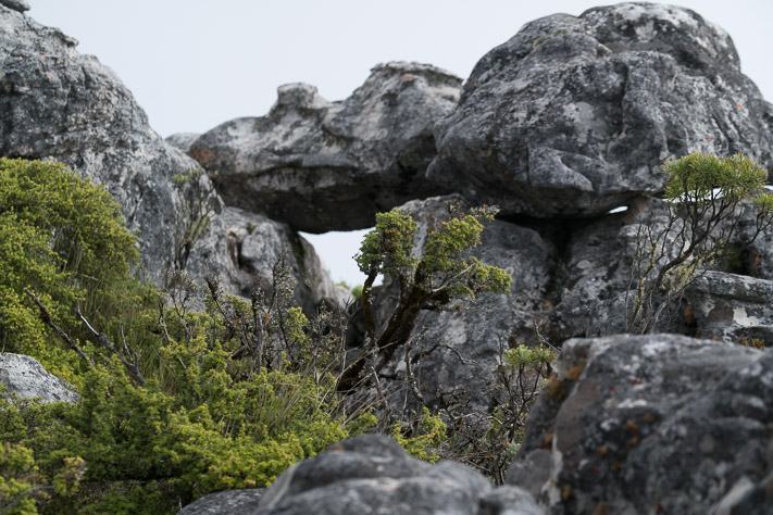 Table Mountain