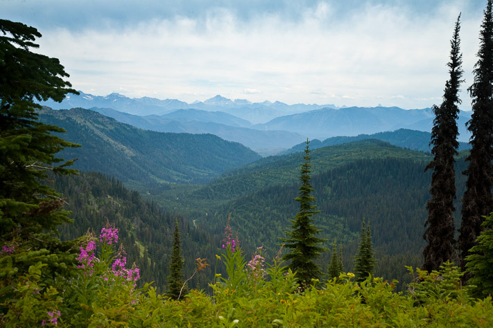 Summit View