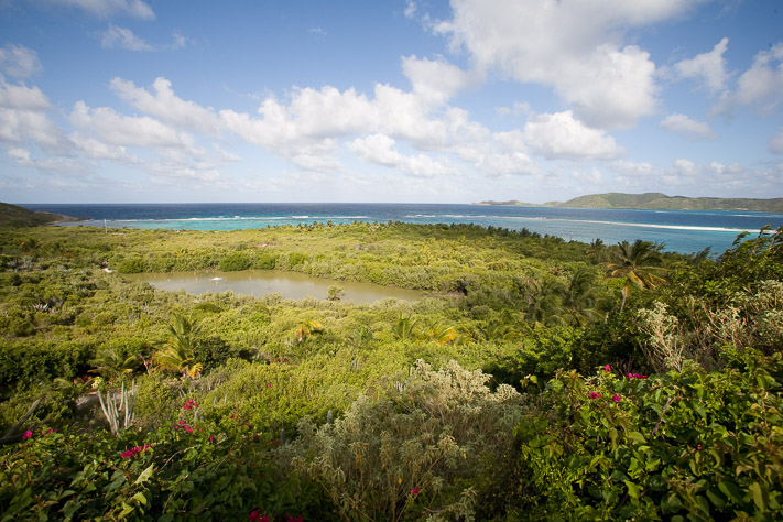 The island