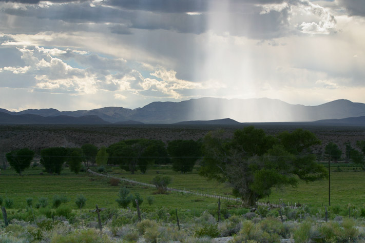 Desert Storm