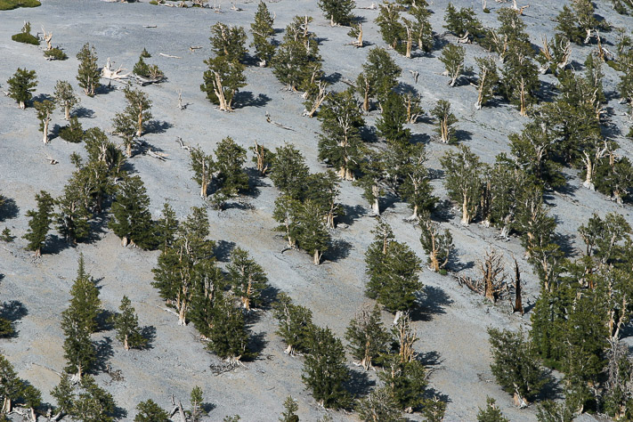 Mountainscape