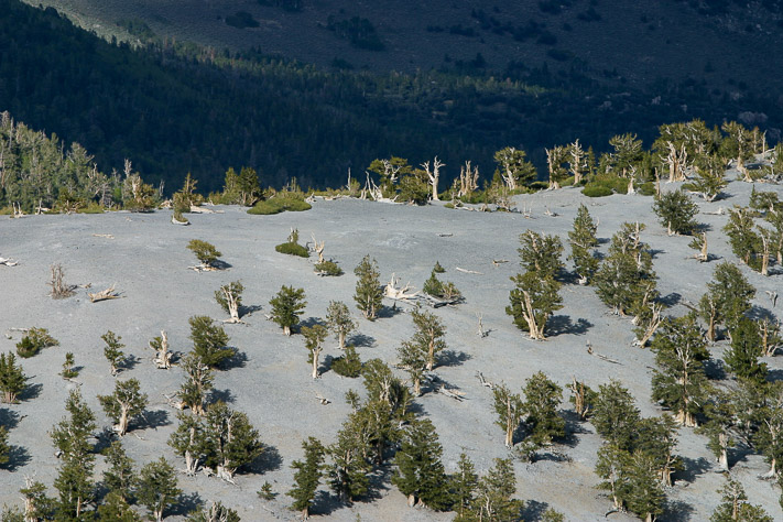 Mountainscape