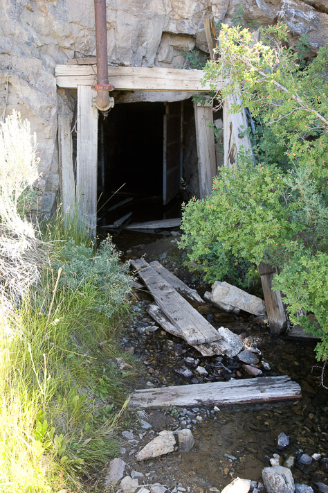 A Mine Adit