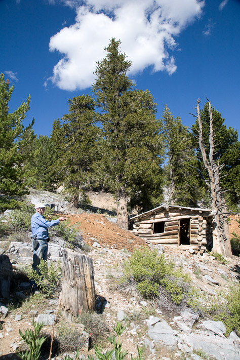 Stewart and Log Cabins