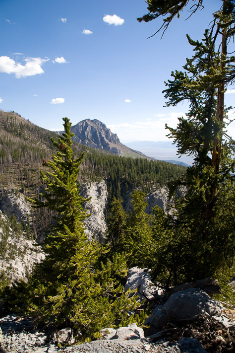 Valley View