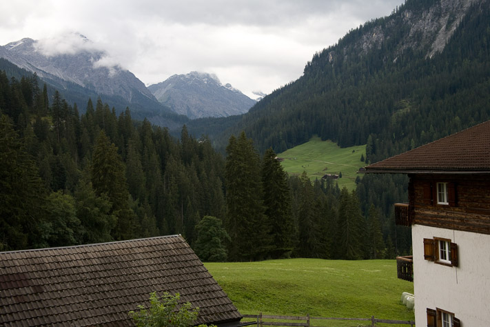 Alpine Meadow